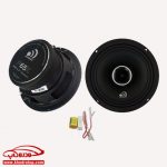 بلندگو گرد ماشين-مسیو MASSIVE AUDIO P65X