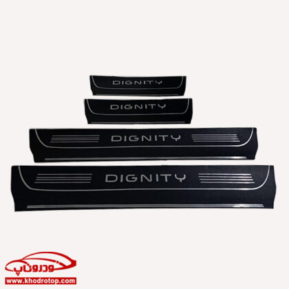 پارکابی چرمی DIGNITY ix5 - Image 2